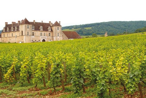 burgundy-wine-guide