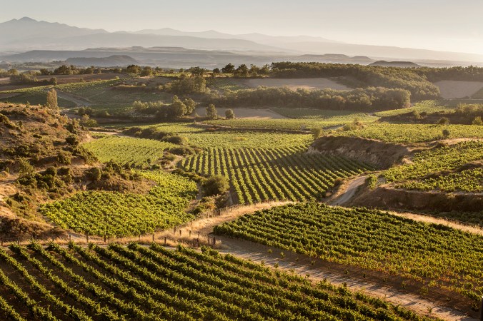 rioja1